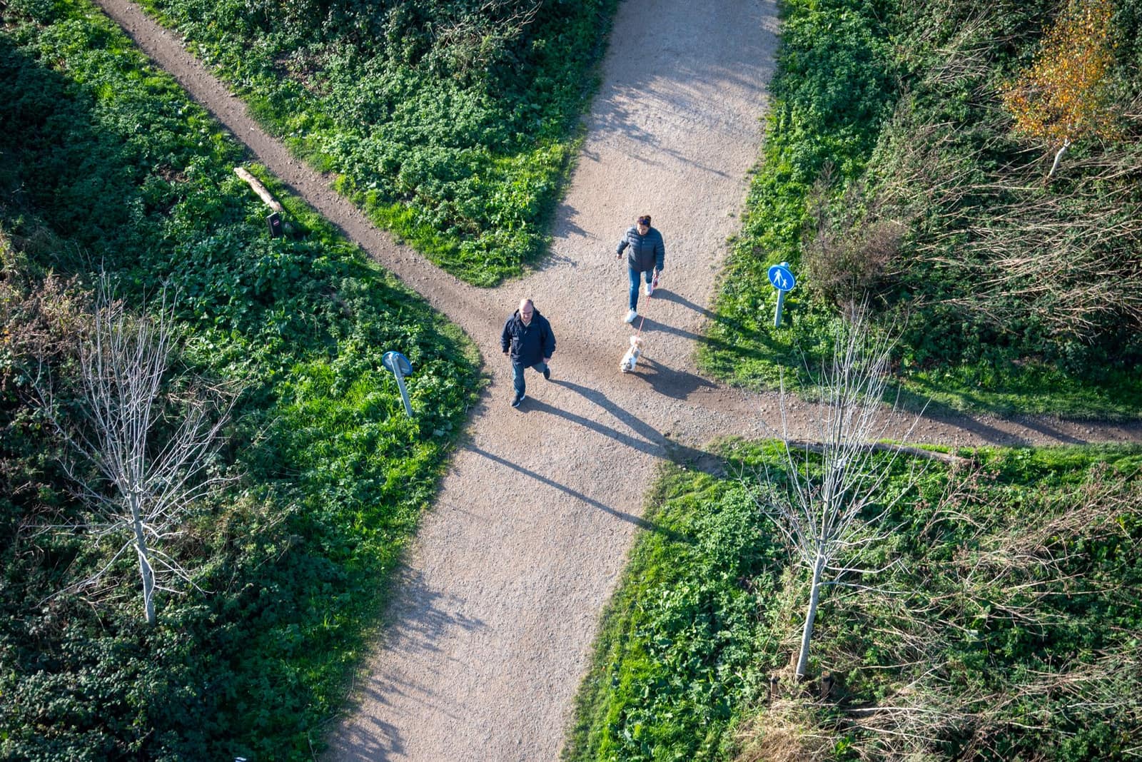 Local Services Ads vs. Google Ads: Key Differences
